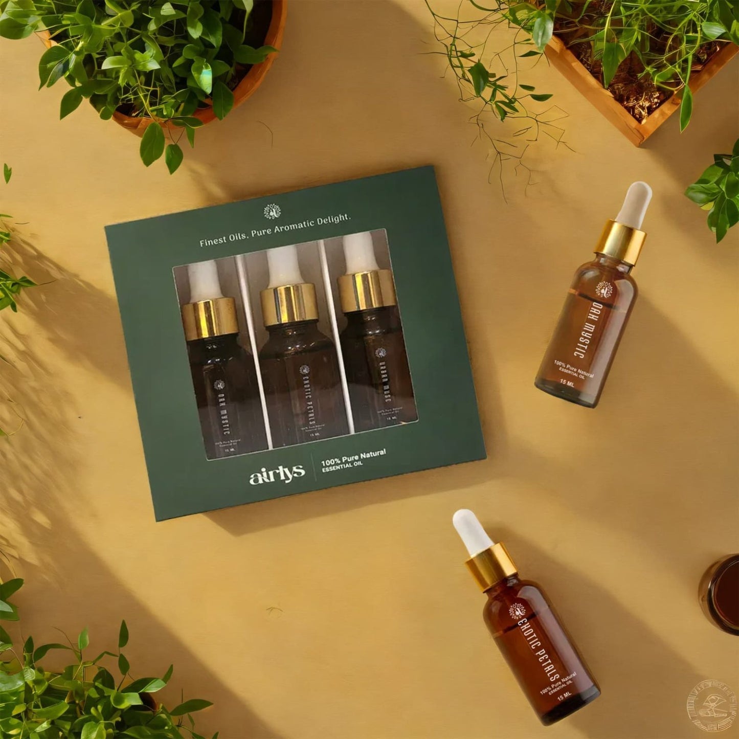 Combo Pack Oil (15ml * 3)
